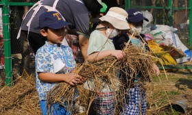 อนุบาล 2 ปลูกผักสวนครัว (พ. 8 ม.ค.67) Image 10