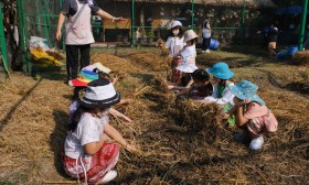 อนุบาล 2 ปลูกผักสวนครัว (พ. 8 ม.ค.67) Image 11