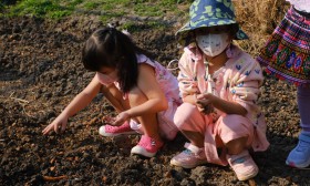 อนุบาล 2 ปลูกผักสวนครัว (พ. 8 ม.ค.67) Image 2