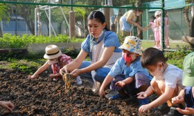 อนุบาล 2 ปลูกผักสวนครัว (พ. 8 ม.ค.67) Image 3