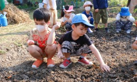 อนุบาล 2 ปลูกผักสวนครัว (พ. 8 ม.ค.67) Image 4