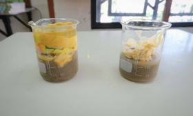 ป.6 บูรณาการทดลองการเกิดหิน (13 ม.ค.68) Image 6