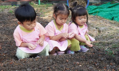 น้องเด็กเล็กปลูกผักสวนครัว (ศ. 17 ม.ค. 68) Image 1
