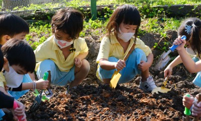 อนุบาล 1 ปลูกผักสวนครัว (จ. 13 ม.ค.68) Image 1