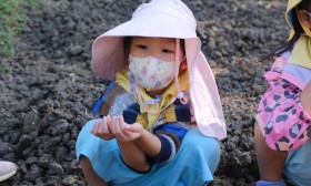 อนุบาล 1 ปลูกผักสวนครัว (จ. 13 ม.ค.68) Image 4