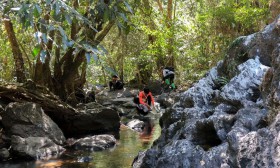 (2) ป.6 ค่ายธรรมชาติ &quot;อุทยานแห่งชาติเขาใหญ่&quot; (15-17 ม.ค.68) Image 3