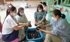มาตรการและแนวทางการดูแลสุขภาพอนามัยของนักเรียน (ศุกร์ 24 ม.ค ... Image 7