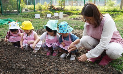 น้องเด็กเล็กปลูกผักสวนครัว (เพิ่มเติม) - จ. 27 ม.ค. 68 Image 1