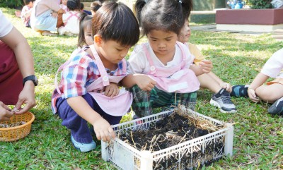 น้องเด็กเล็กปลูกผักบุ้ง (จ. 10 ก.พ. 68) Image 1