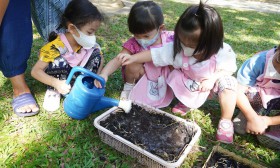 น้องเด็กเล็กปลูกผักบุ้ง (จ. 10 ก.พ. 68) Image 5