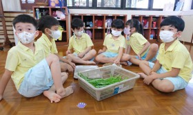 อนุบาล 3 กิจกรรมประกอบอาหาร ผักบุ้งทอด (11, 13 ก.พ.68) Image 1