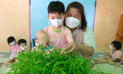 น้องเด็กเล็กเก็บผักบุ้งที่ปลูก และทำผักบุ้งชุบแป้งทอด 27-28 ... Image 1