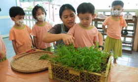 น้องเด็กเล็กเก็บผักบุ้งที่ปลูก และทำผักบุ้งชุบแป้งทอด 27-28  ... Image 3