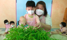 น้องเด็กเล็กเก็บผักบุ้งที่ปลูก และทำผักบุ้งชุบแป้งทอด 27-28  ... Image 7