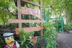 ป.๔ บูรณาการกิจกรรมใบเลี้ยงเดี่ยวกับใบเลี้ยงคู่ (๒๒ พ.ค.๖๘) Image 1