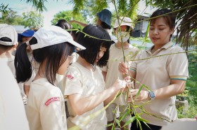 ป.๔ บูรณาการกิจกรรมใบเลี้ยงเดี่ยวกับใบเลี้ยงคู่ (๒๒ พ.ค.๖๘) Image 5