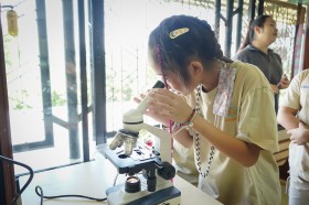 ป.๔ บูรณาการ ทดลองการลำเลียงน้ำของพืช (๒๓ พ.ค.๖๘) Image 7