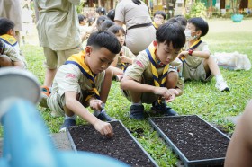 ป.๑ บูรณาการกิจกรรมปลูกยอดอ่อนทานตะวัน (๕ มิ.ย.๖๘) Image 7
