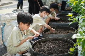 ป.๑ กิจกรรมปลูกผักบุ้ง (๖ มิ.ย.๖๘) Image 6
