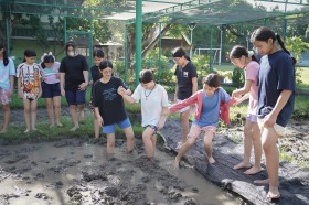 ป.๕ &quot;ย่ำดิน&quot; เตรียมหน้าดินสำหรับปลูกข้าวในแปลงเกษตร (๑๘ มิ.ย ... Image 2