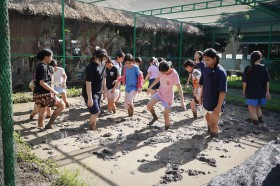 ป.๕ &quot;ย่ำดิน&quot; เตรียมหน้าดินสำหรับปลูกข้าวในแปลงเกษตร (๑๘ มิ.ย ... Image 4