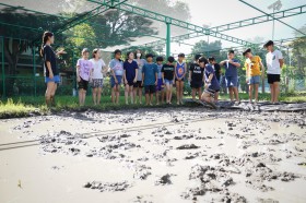 ป.๕ &quot;ย่ำดิน&quot; เตรียมหน้าดินสำหรับปลูกข้าวในแปลงเกษตร (๑๘ มิ.ย ... Image 5