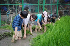 ป.๕ กิจกรรมถอนกล้า ดำนา ปลูกข้าว (๓๐-๓๑ ก.ค.๖๘) FLEXI_IMAGE 7