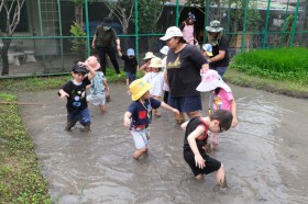 อนุบาล ๒ ย่ำดินเตรียมแปลงนา (อ. ๒๙ ก.ค.๖๘) FLEXI_IMAGE 2