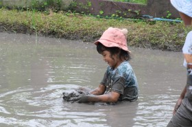 อนุบาล ๒ ย่ำดินเตรียมแปลงนา (อ. ๒๙ ก.ค.๖๘) FLEXI_IMAGE 5