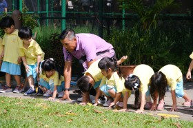 กิจกรรมพลศึกษา อนุบาล ๑ (จ. ๑ ก.ย.๖๘) Image 3