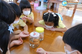 อนุบาล ๒ การทดลอง ไข่ เด้ง ดึ๋ง (จ. ๑๕ ก.ย.๖๘) Image 6