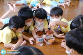 อนุบาล ๒ การทดลอง ไข่ เด้ง ดึ๋ง (จ. ๑๕ ก.ย.๖๘) Image 7