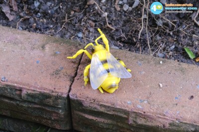 อนุบาล ๑ ตามหาแมลง (จ. ๒๙ ก.ย.๖๘) Image 1