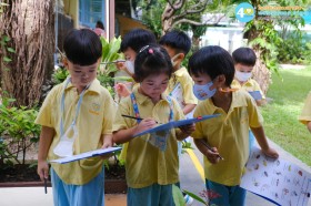 อนุบาล ๑ ตามหาแมลง (จ. ๒๙ ก.ย.๖๘) Image 4