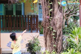 อนุบาล ๑ ตามหาแมลง (จ. ๒๙ ก.ย.๖๘) Image 8