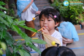 อนุบาล ๑ บทบาทสมมติตามหาน้ำหวาน (พ. ๑ ต.ค.๖๘) Image 8