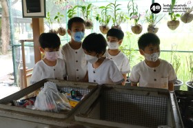 อนุบาล ๓ ประดิษฐ์ของเล่นจากวัสดุเหลือใช้ (๑๔, ๑๖ ต.ค.๖๘) Image 2