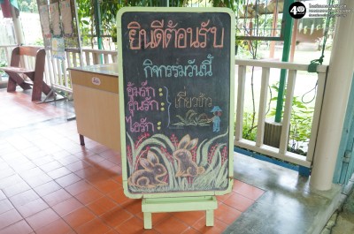 น้องเด็กเล็กช่วยคุณครูเกี่ยวข้าว (จ. ๓ พ.ย. ๖๘) Image 1