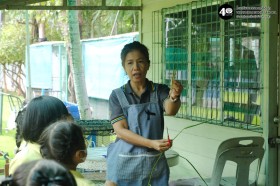 อนุบาล เกี่ยวข้าวและตากข้าว (๗, ๑๐ พ.ย.๖๘) Image 2