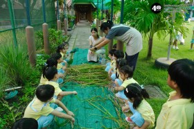 อนุบาล เกี่ยวข้าวและตากข้าว (๗, ๑๐ พ.ย.๖๘) Image 4