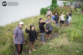 ป.๕ เกี่ยวข้าวกันเถอะ 🌾 (๒๑ พ.ย.๖๘) Image 2