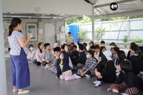 ป.๕ เกี่ยวข้าวกันเถอะ 🌾 (๒๑ พ.ย.๖๘) Image 3