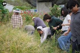 ป.๕ เกี่ยวข้าวกันเถอะ 🌾 (๒๑ พ.ย.๖๘) Image 5