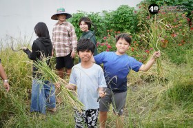 ป.๕ เกี่ยวข้าวกันเถอะ 🌾 (๒๑ พ.ย.๖๘) Image 8