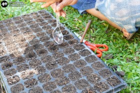 กิจกรรมเกษตร บ้านเด็กเล็ก (๕,๖,๘ ม.ค. ๖๘) Image 5