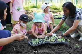 น้องเด็กเล็กปลูกผักสวนครัวในแปลงเกษตร (๒๓,๒๘ ม.ค. ๖๙) Image 3