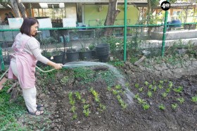 น้องเด็กเล็กปลูกผักสวนครัวในแปลงเกษตร (๒๓,๒๘ ม.ค. ๖๙) Image 7