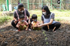 น้องเด็กเล็กปลูกผักสวนครัวในแปลงเกษตร (๒๓,๒๘ ม.ค. ๖๙) Image 8