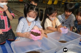 อนุบาล ๑ ปลูกผักสวนครัว (๑๔, ๒๐ ม.ค.๖๙) Image 3