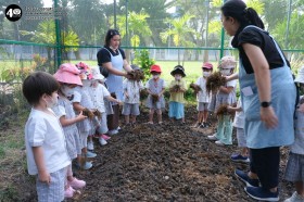 อนุบาล ๑ ปลูกผักสวนครัว (๑๔, ๒๐ ม.ค.๖๙) Image 5